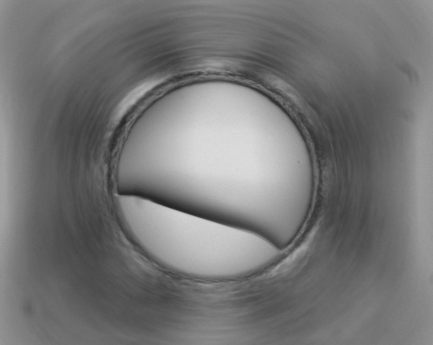 X0000114241066200910091344
