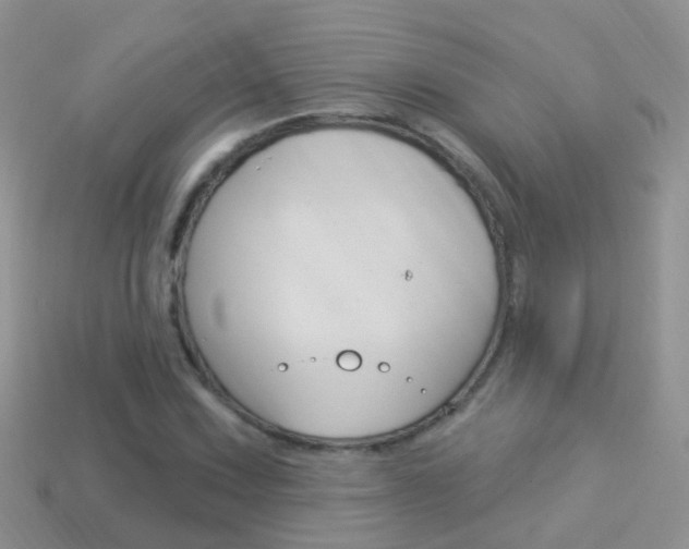 X0000114241067200910091344