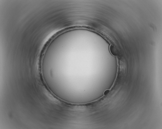 X0000114241068200910091344
