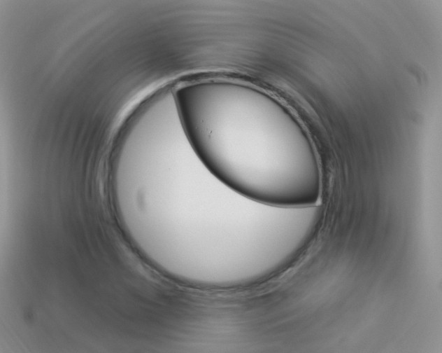 X0000114241069200910091344