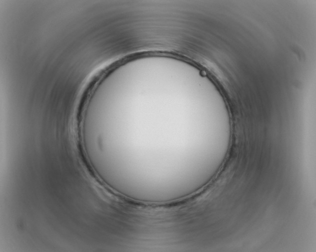 X0000114241072200910091344