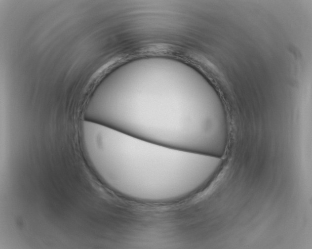 X0000114241073200910091344