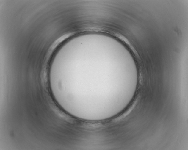 X0000114241074200910091344