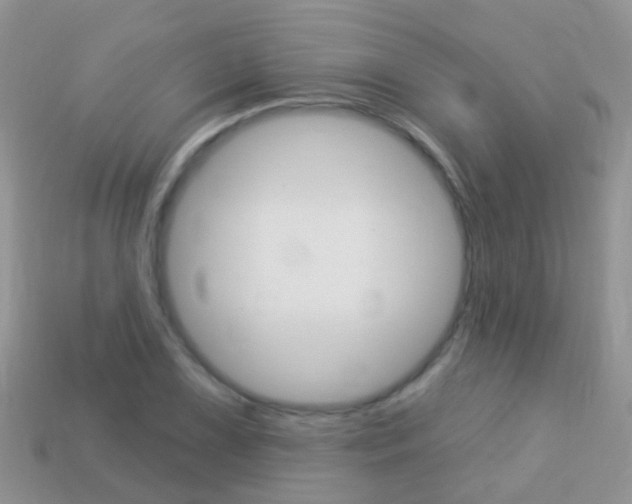 X0000114241075200910091344