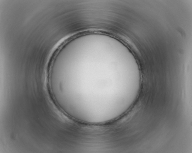 X0000114241076200910091344