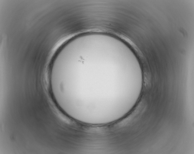 X0000114241078200910091344