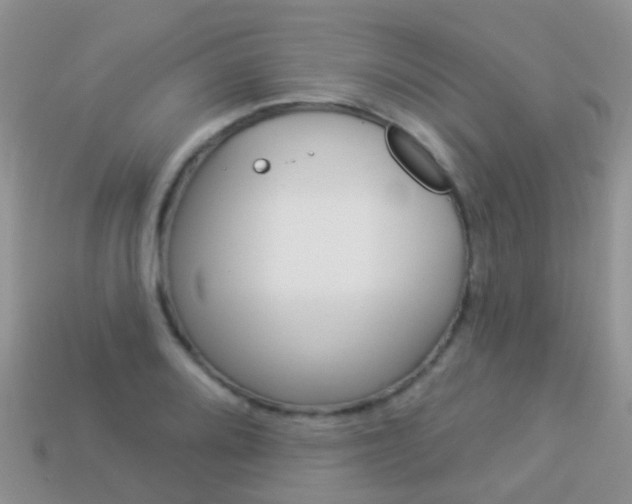X0000114241080200910091344