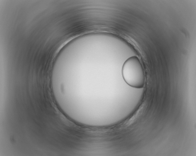 X0000114241081200910091344
