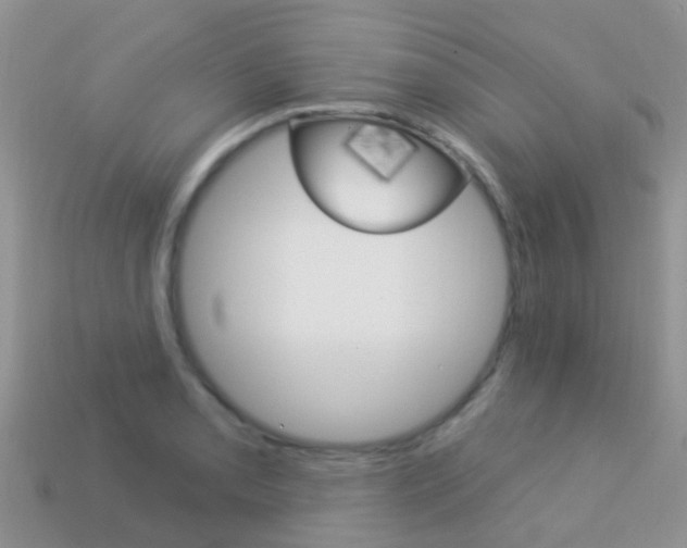 X0000114241085200910091344