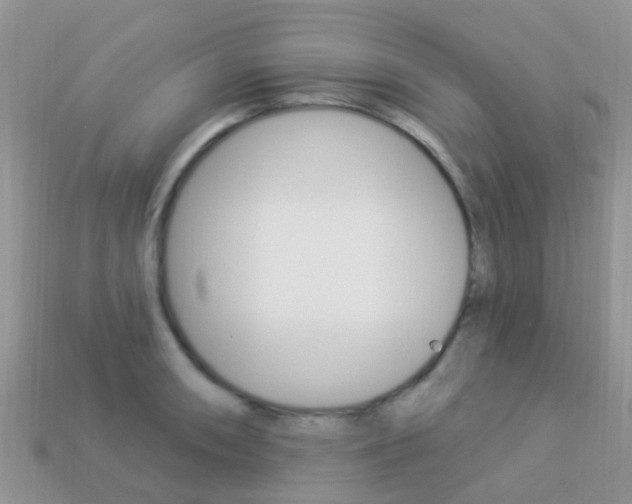 X0000114241090200910091344