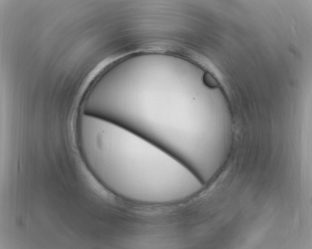 X0000114241091200910091344