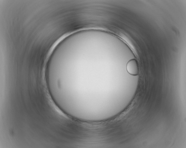 X0000114241092200910091344