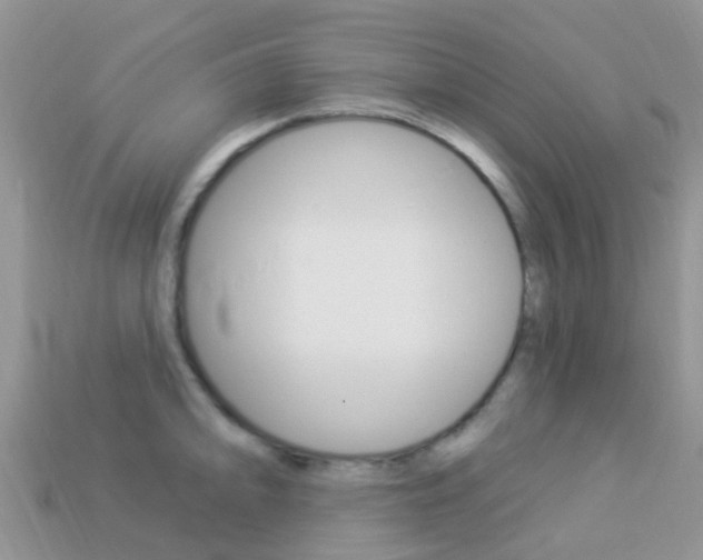 X0000114241094200910091344