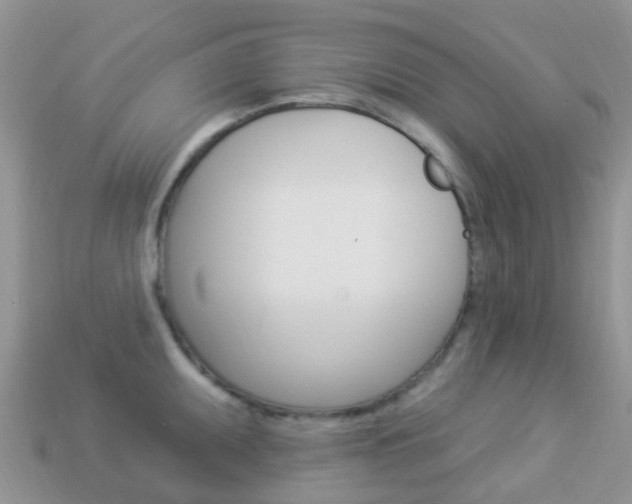 X0000114241095200910091344