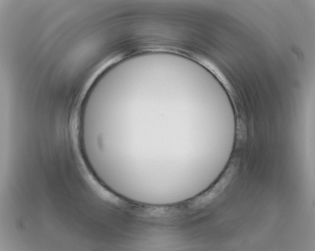 X0000114241098200910091344