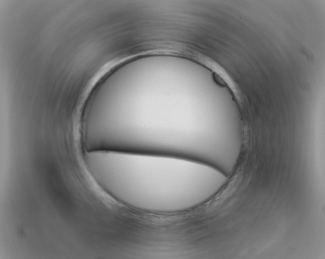 X0000114241099200910091344