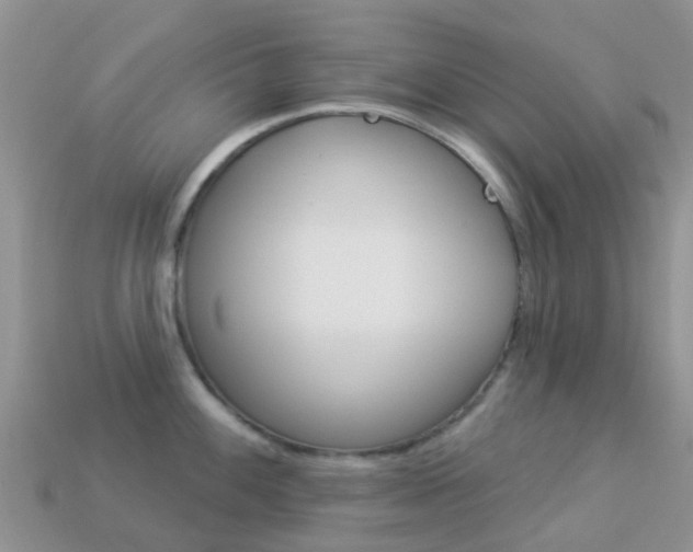 X0000114241100200910091344