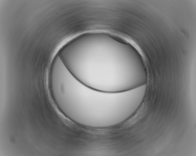 X0000114241101200910091344