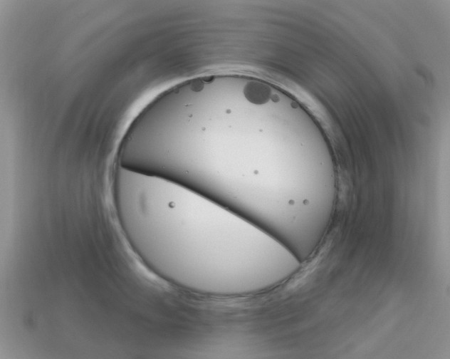 X0000114241102200910091344