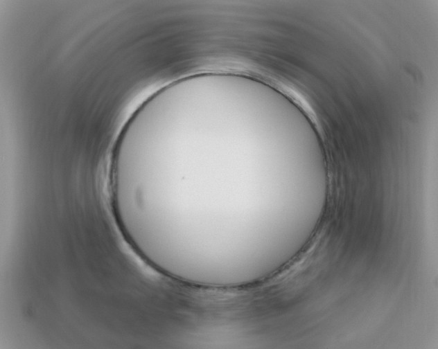 X0000114241103200910091344