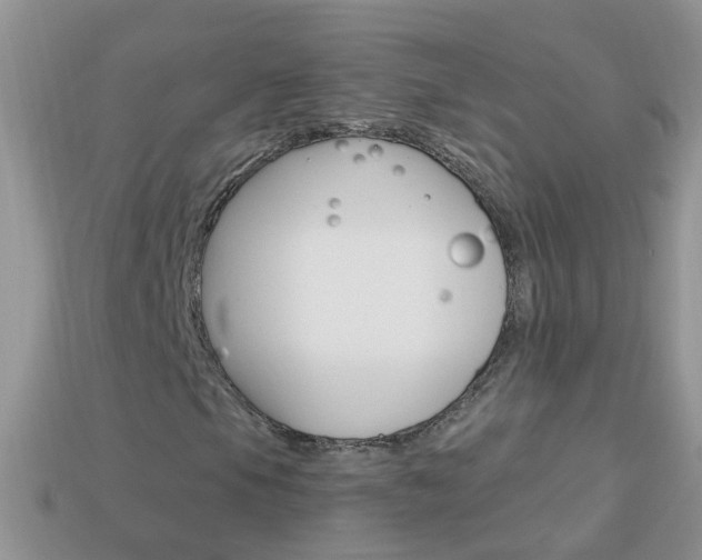 X0000114241105200910091343