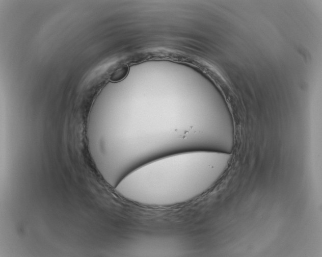 X0000114241111200910091343