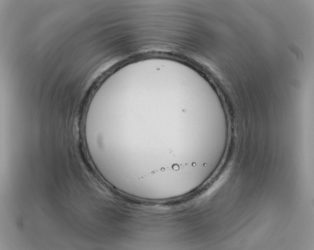 X0000114241113200910091343
