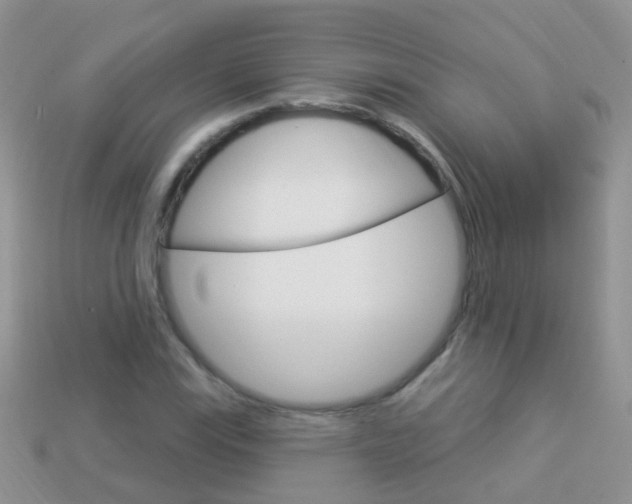 X0000114241115200910091343