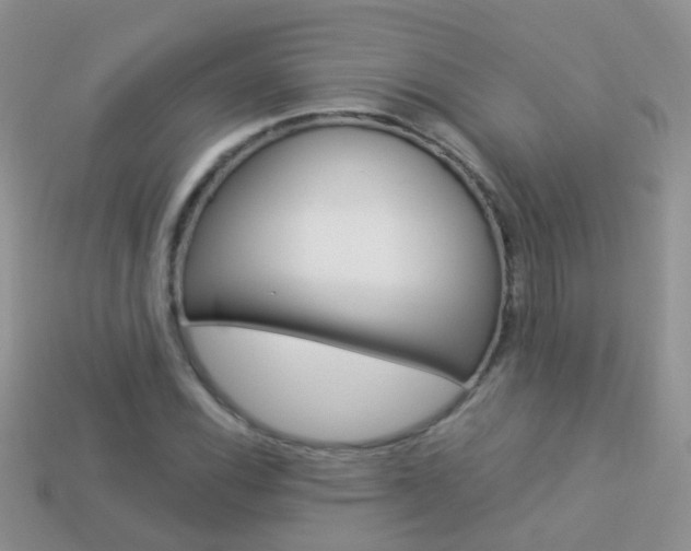 X0000114241116200910091343