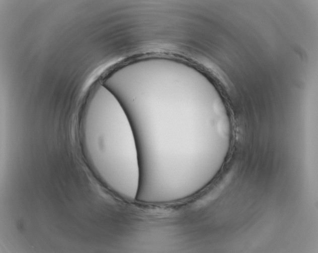 X0000114241117200910091343