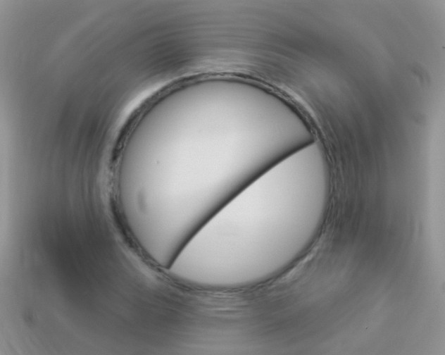X0000114241119200910091343