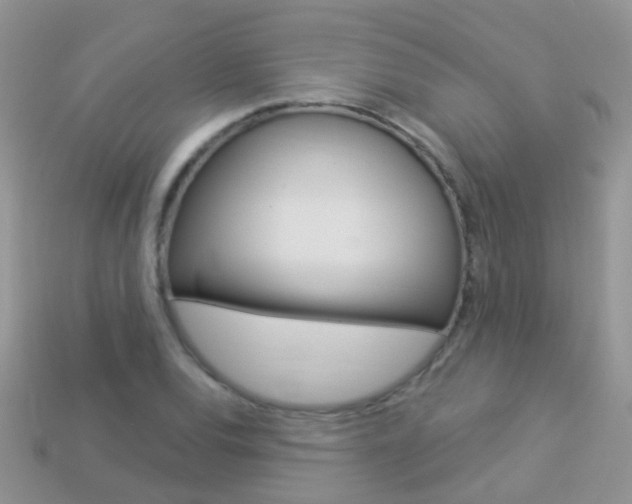 X0000114241120200910091343