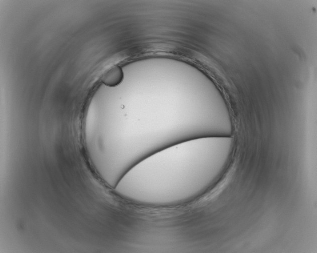 X0000114241121200910091343