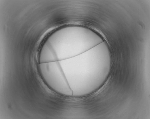 X0000114241123200910091343