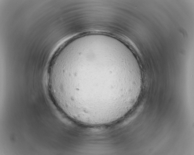 X0000114241125200910091343