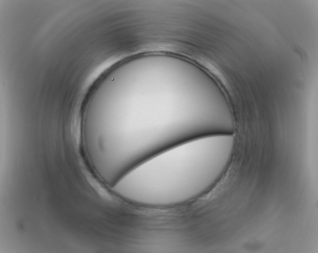 X0000114241127200910091343
