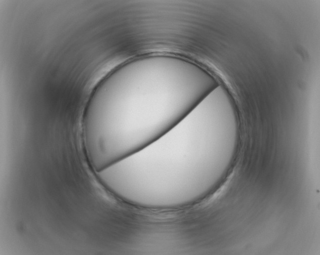 X0000114241129200910091343