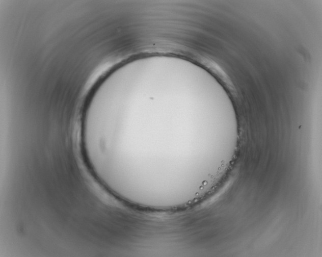 X0000114241130200910091343