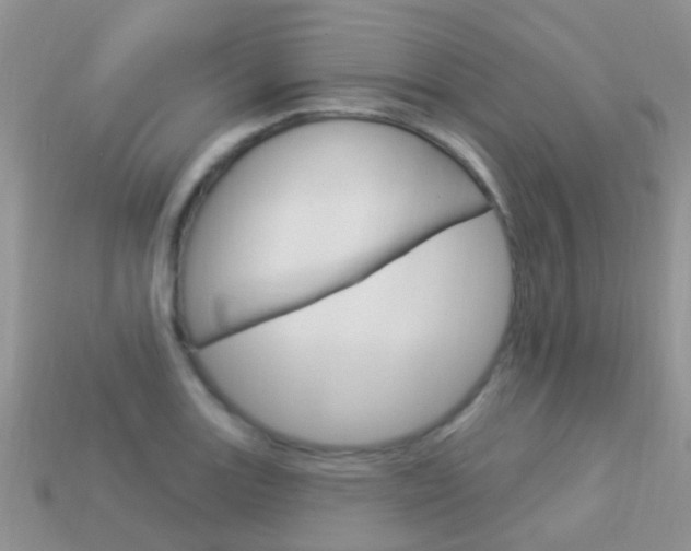 X0000114241131200910091343