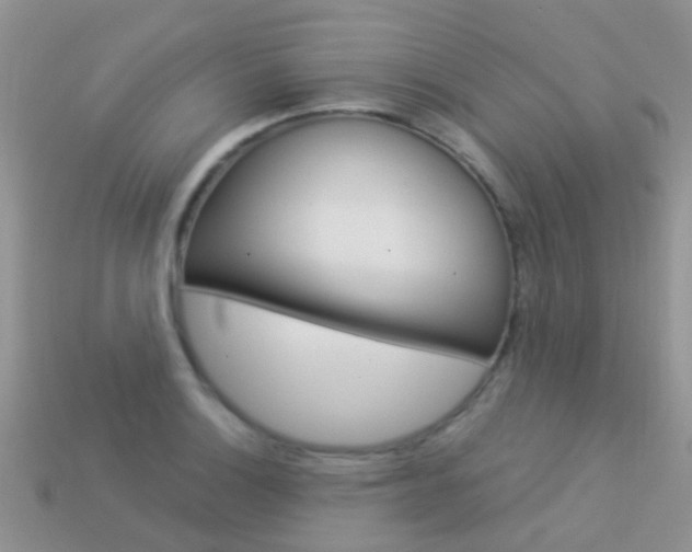 X0000114241132200910091343