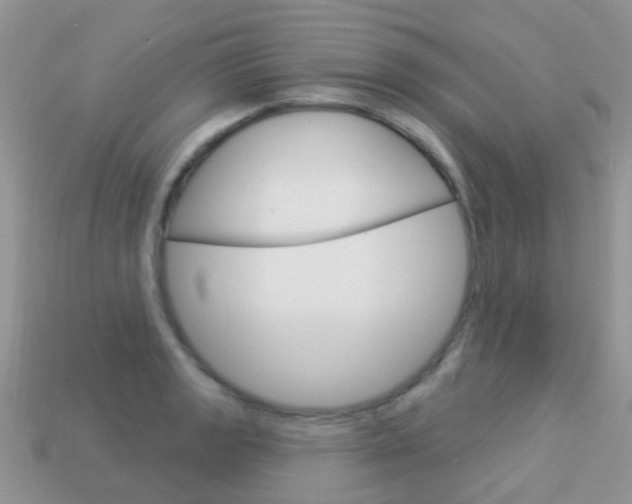 X0000114241133200910091343