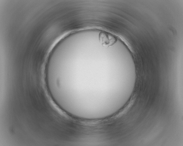 X0000114241134200910091343