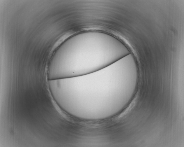 X0000114241137200910091344