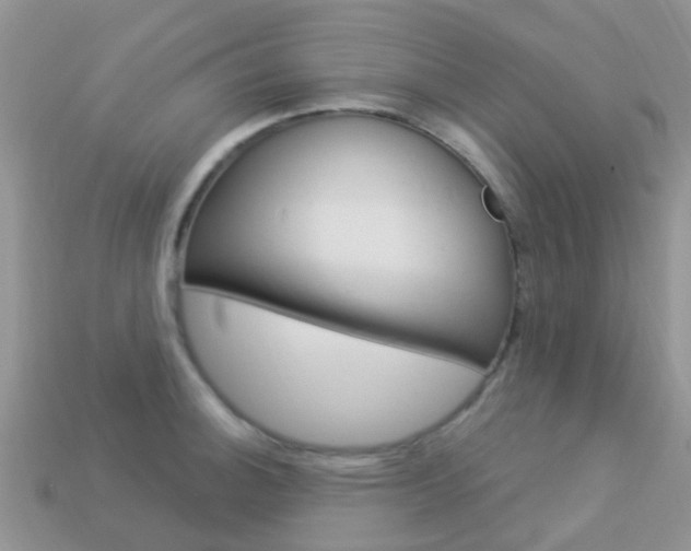 X0000114241140200910091344
