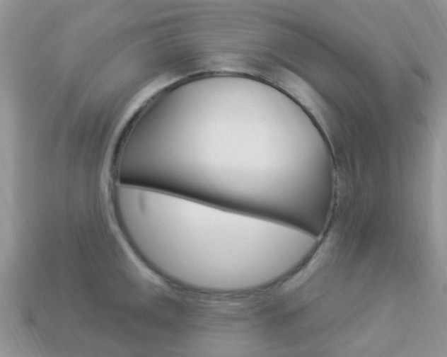 X0000114241141200910091344