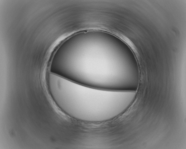 X0000114241144200910091344