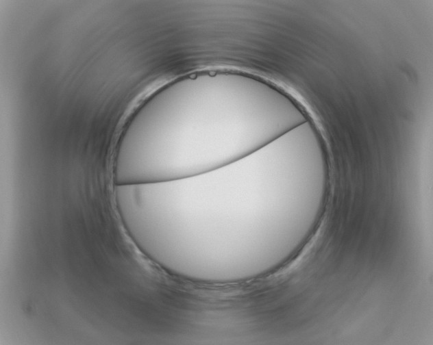 X0000114241145200910091344