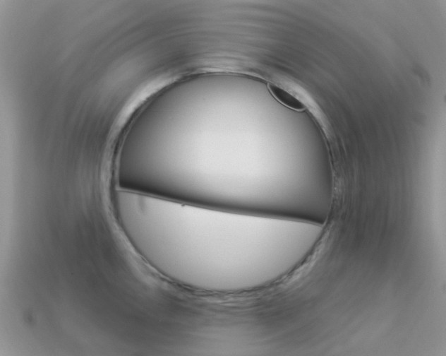 X0000114241146200910091344