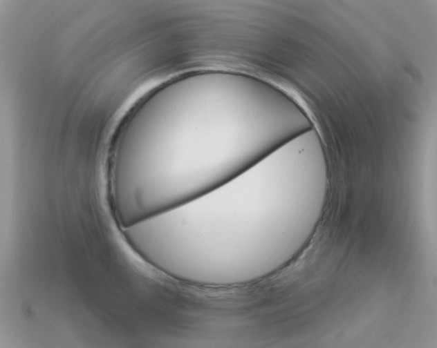 X0000114241147200910091344