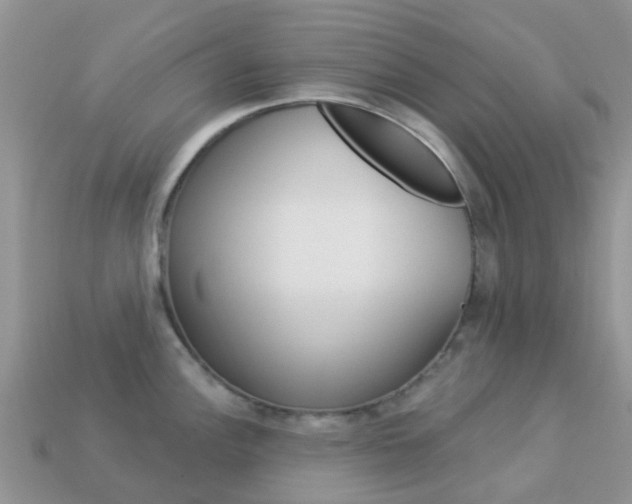 X0000114241148200910091344